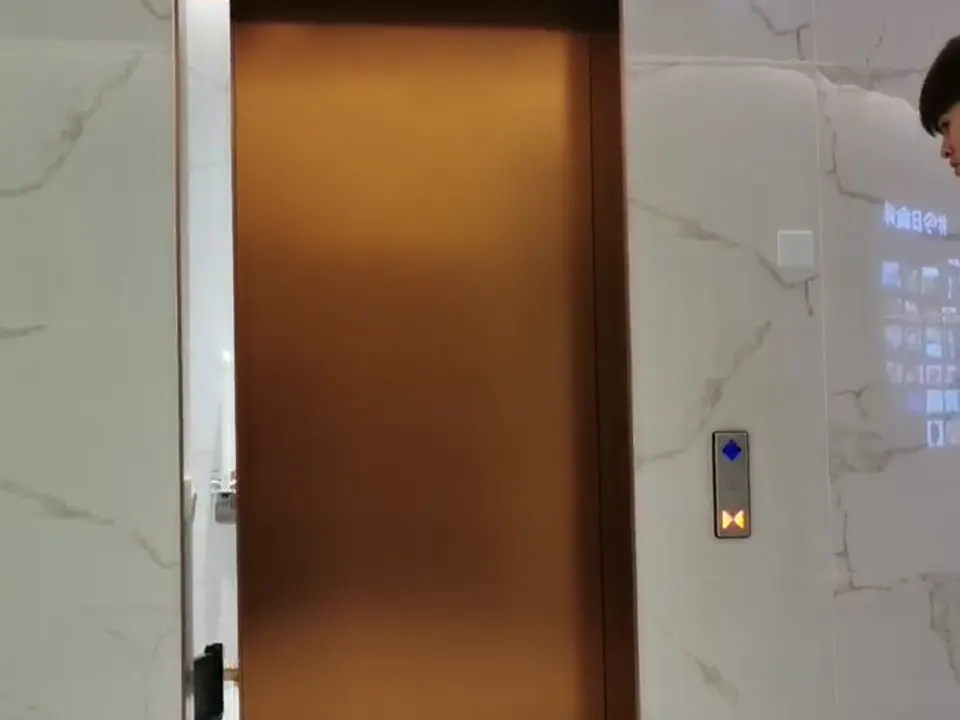 Lockable Accessible Washroom Maglev Door in Foshan