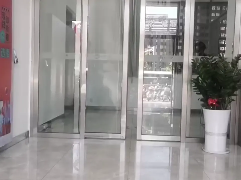 Opposing Telescopic Maglev Doors for a Stairwell