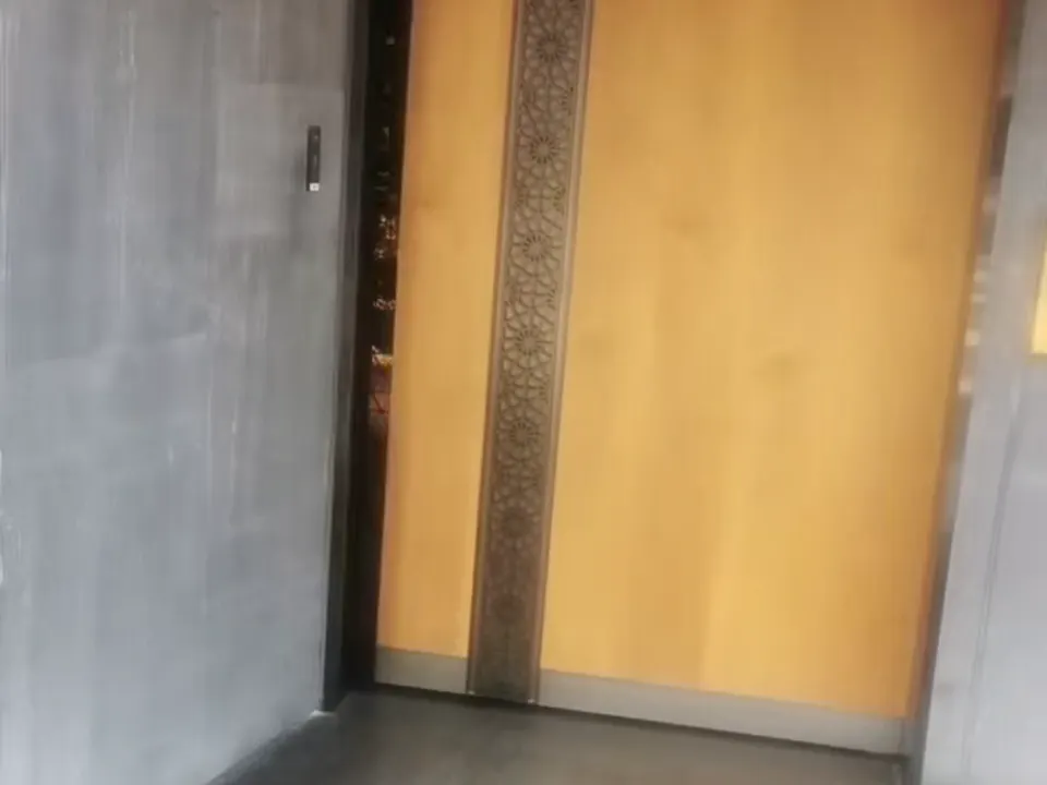 Timber-Finish Maglev Door for a Japanese Restaurant